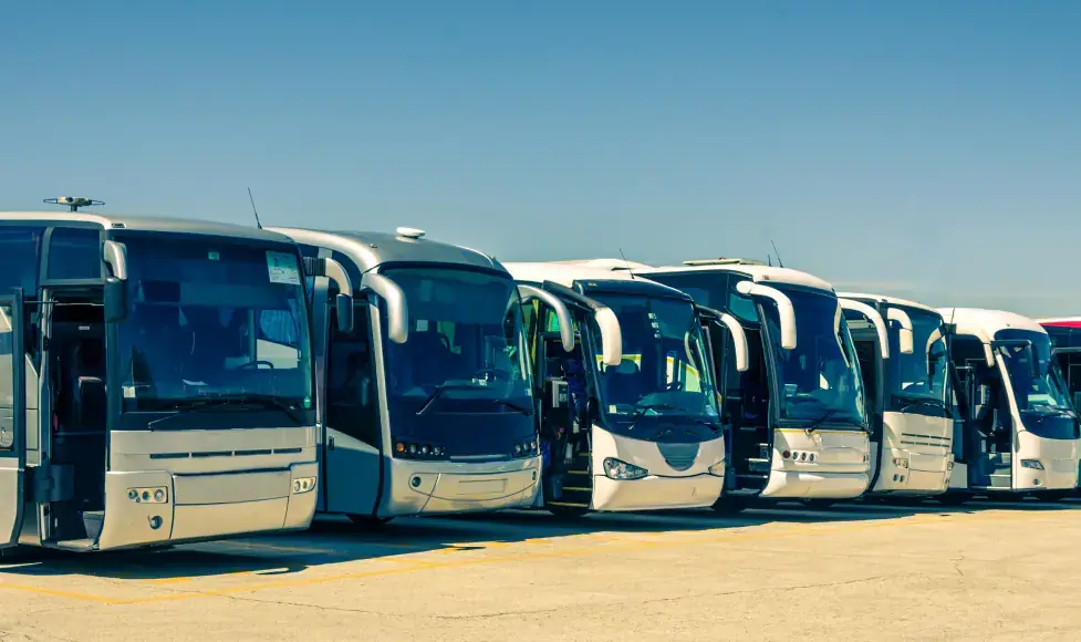 Autocares Sisques S L