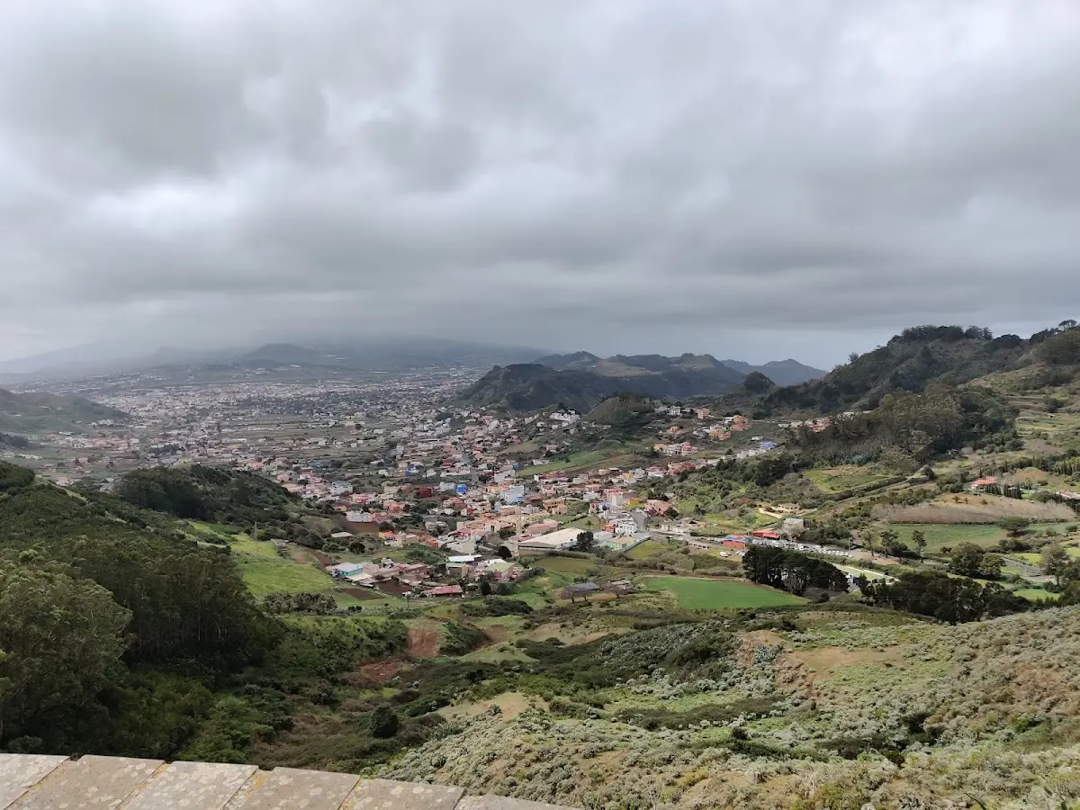 La Merced Canarias, S.L. foto 2