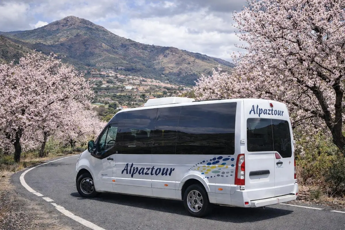 Autobuses Alonso y de la Paz foto 2