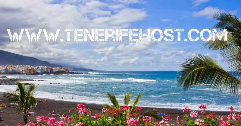 Autobuses Tenerifetours foto 3