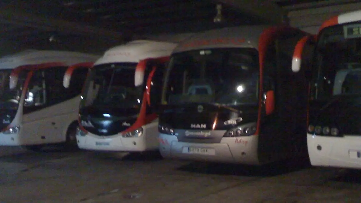 Sangobus foto 2
