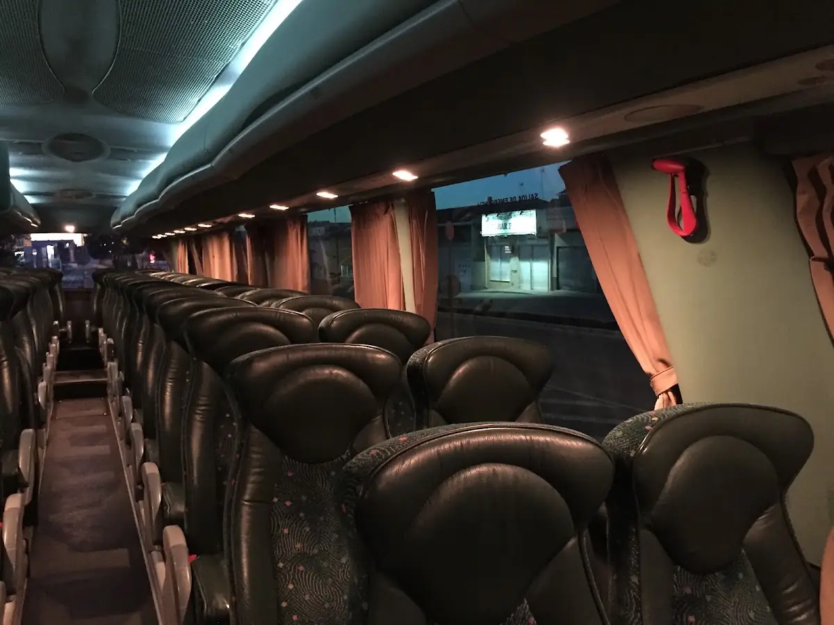 Valdebus S.A.L foto 2