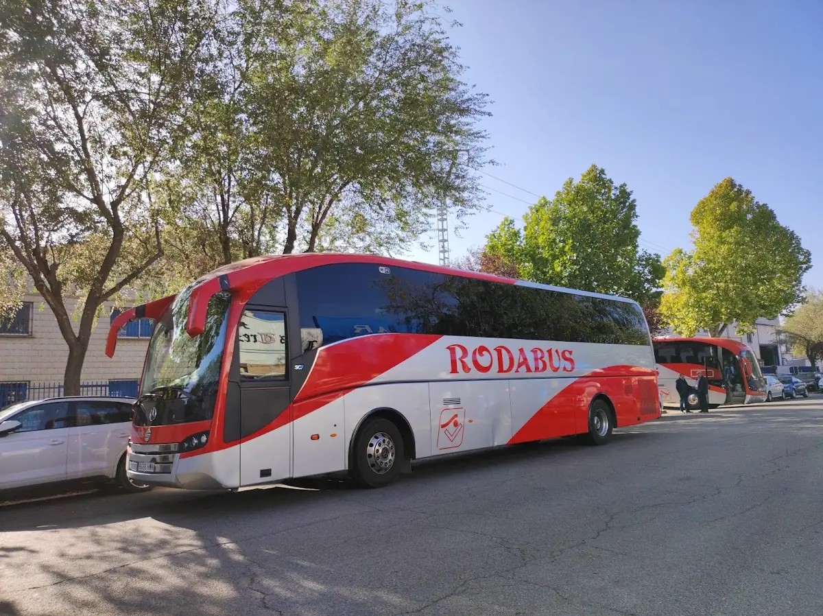 Valdebus S.A.L foto 4