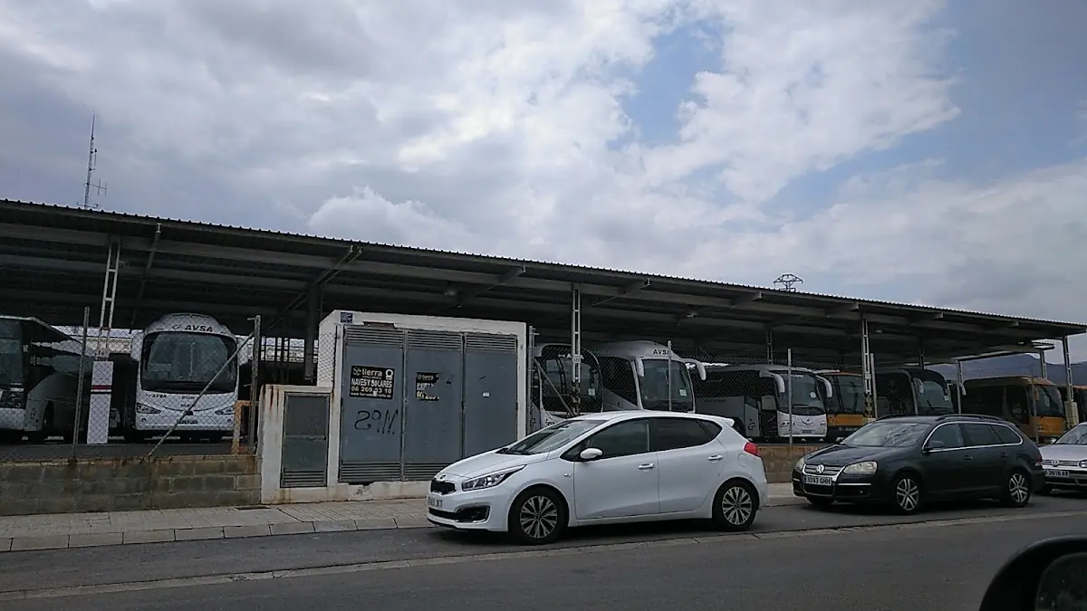 Avsa