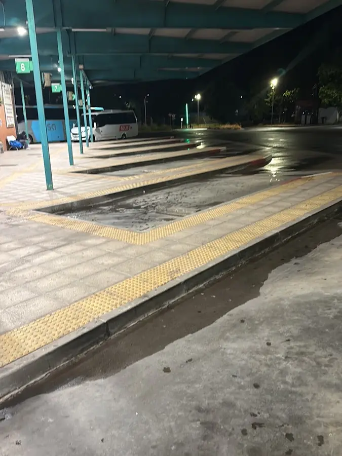 Solís Autocares S.L. foto 3