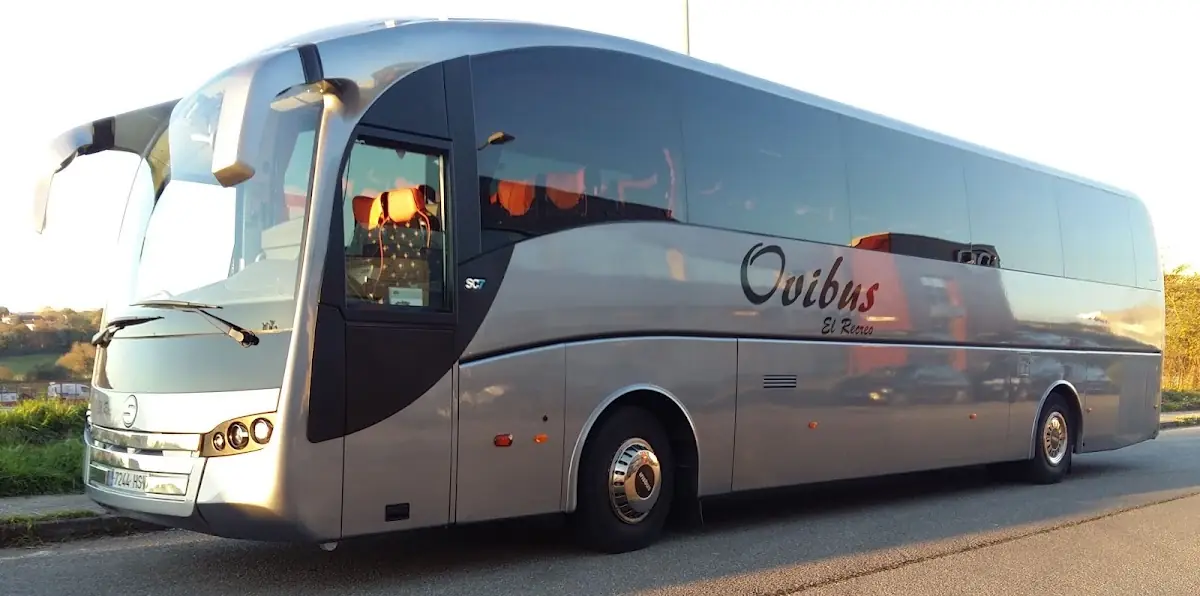 Autocares Ribelbus foto 2