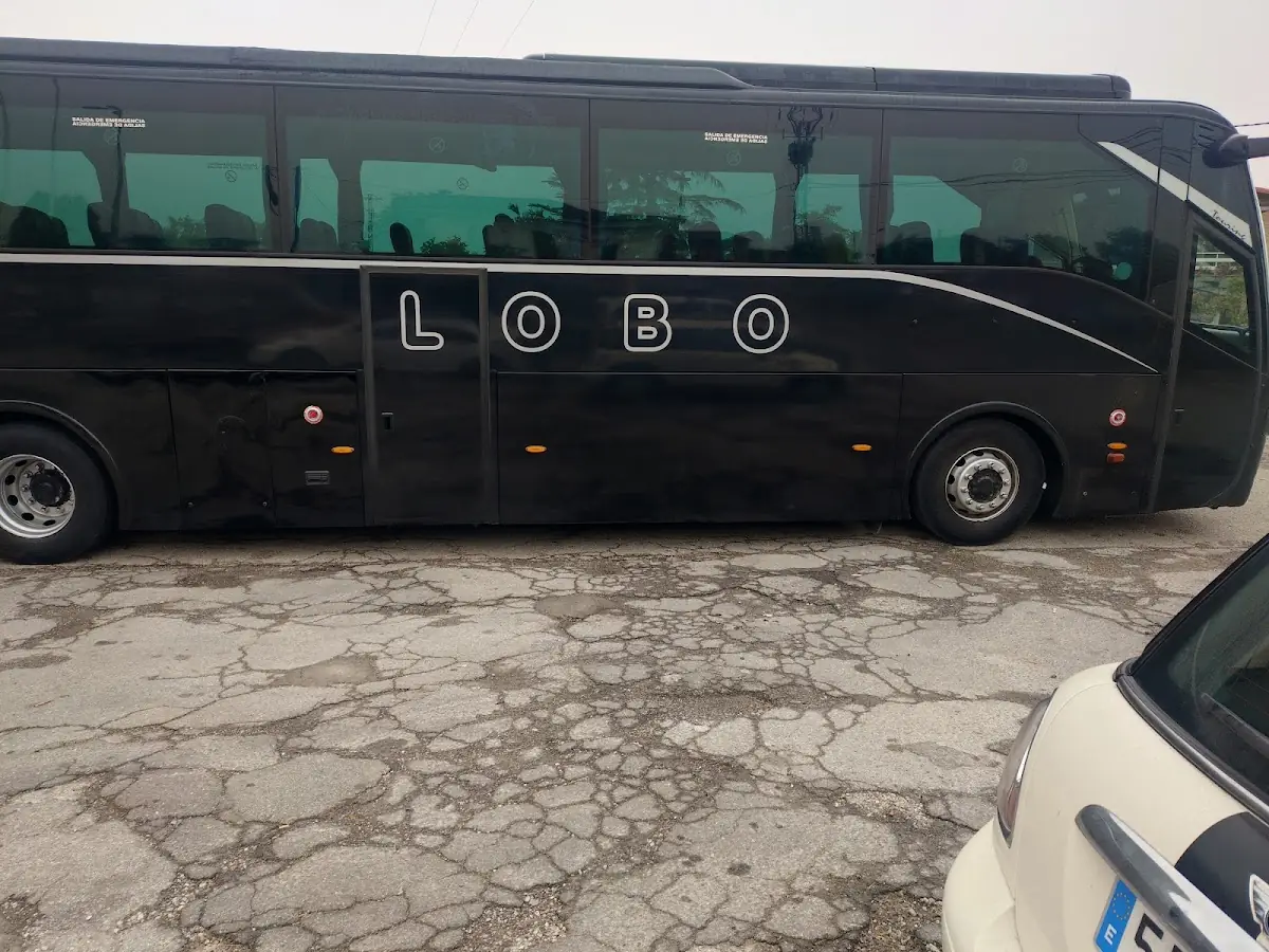 Autobuses Alba foto 4