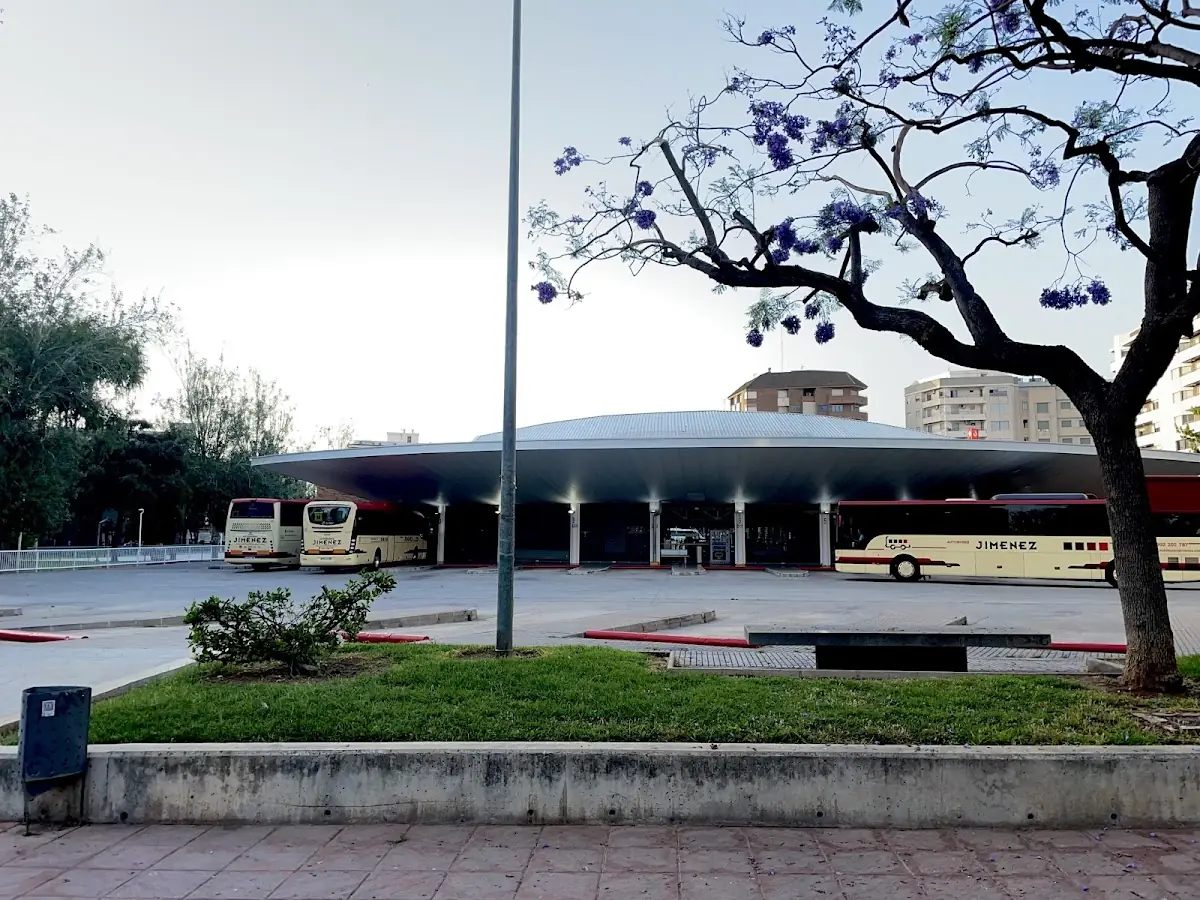 Autobuses Jiménez