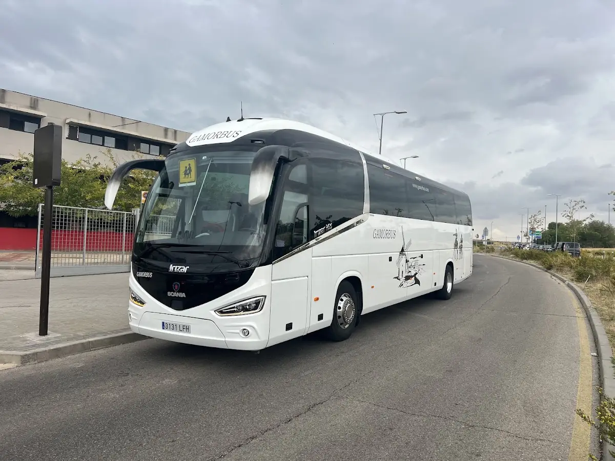 Autocares Gamorbus