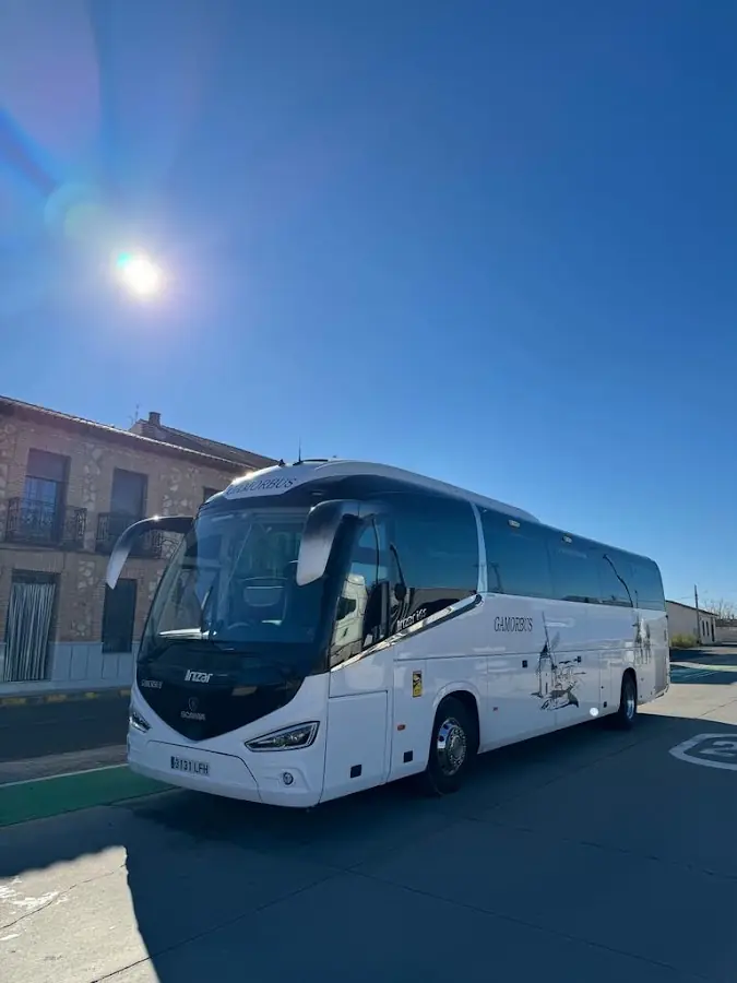 Autocares Gamorbus foto 2