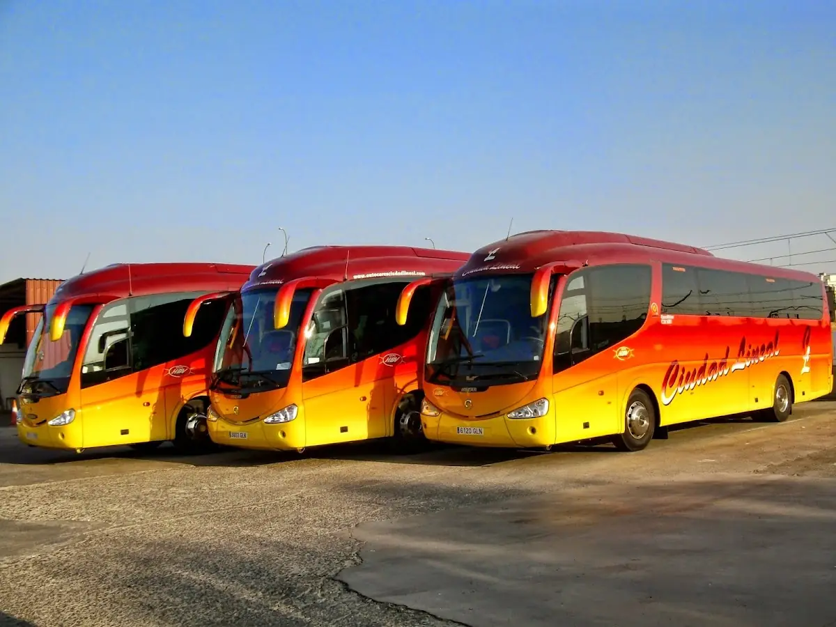 Alinea Bus foto 4