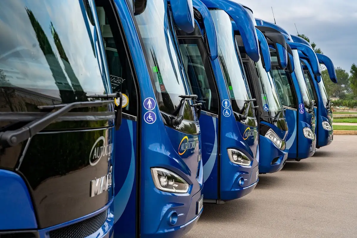 Autocares Vista Bus foto 4
