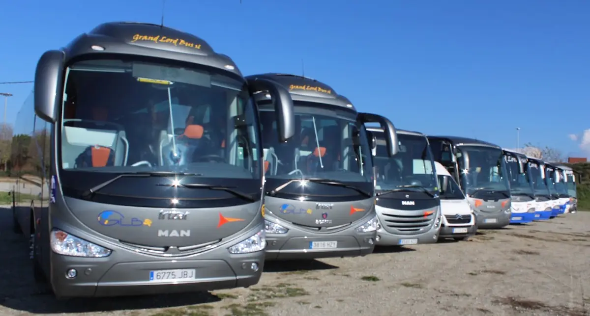 Fleet and Goo Minibus foto 5