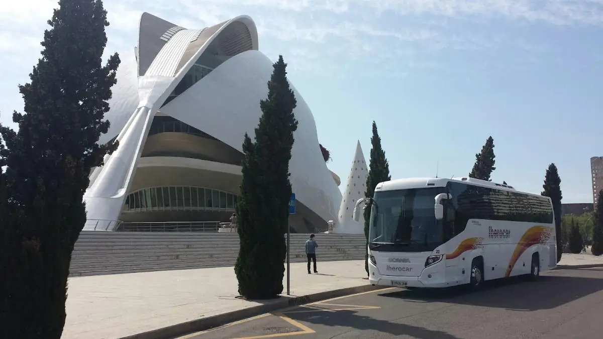 Terra Bus foto 3