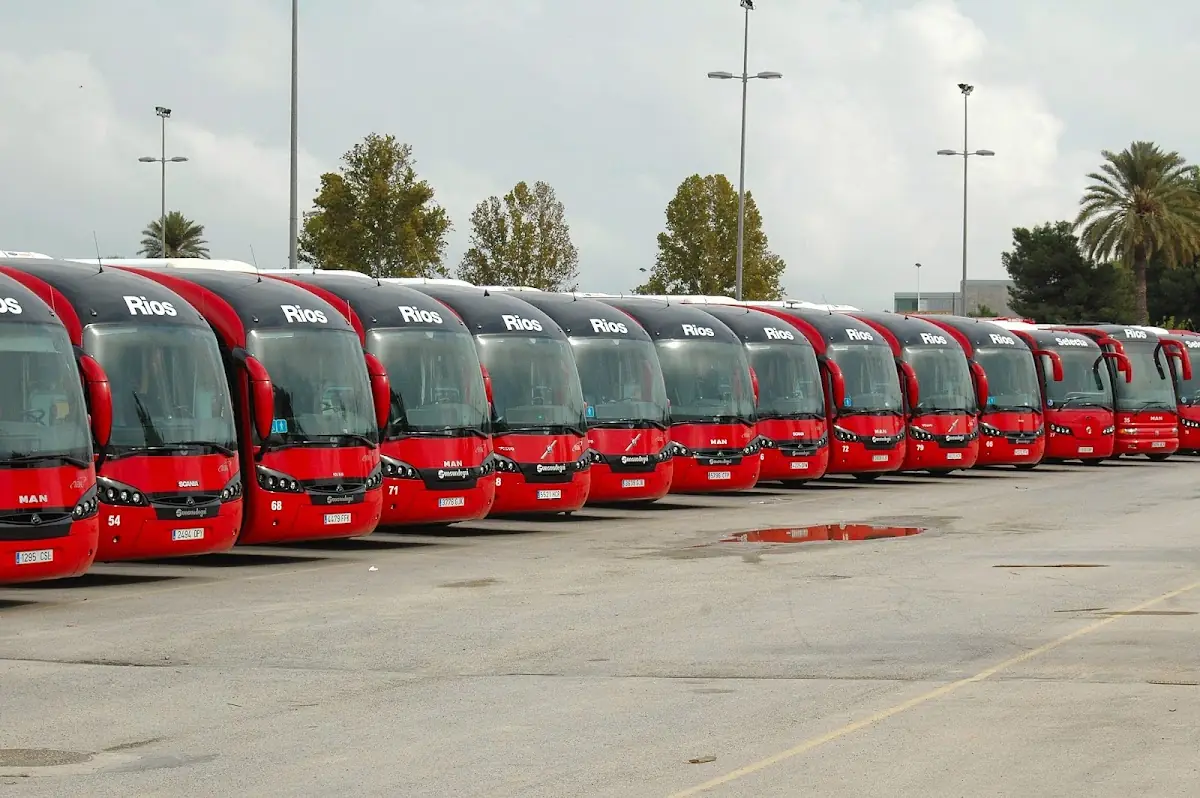 Bus Rios, s.l. foto 5