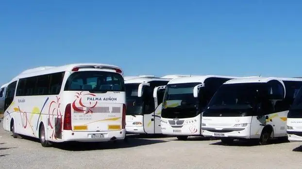 Autocares y Microbuses Paco Campos foto 3