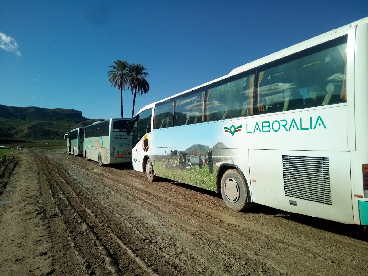 Orbitalia foto 2