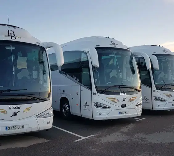 Daurada Bus foto 2