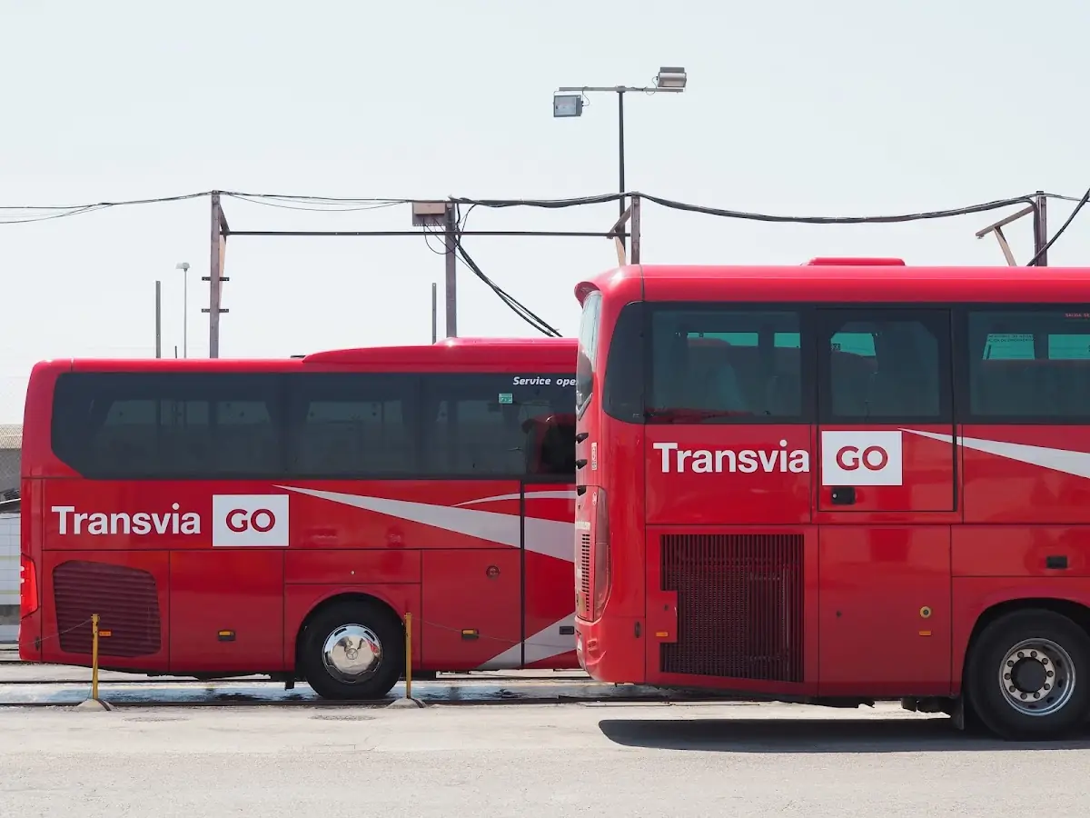 Grupo Transvia