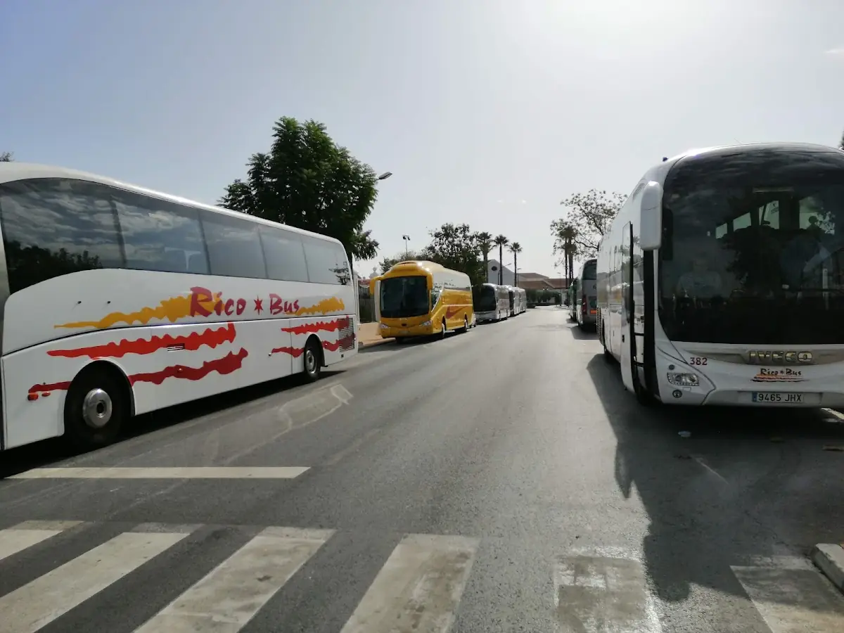 Autocares Andaluces SL foto 2