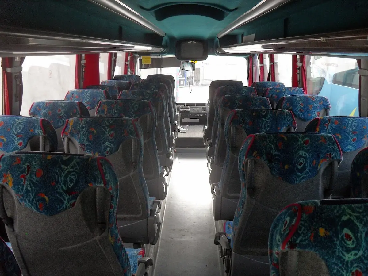 Bus Mallorca foto 3