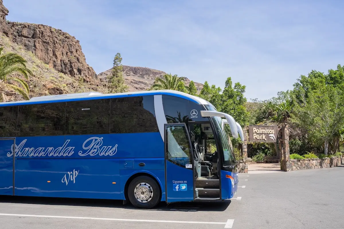 Amanda Bus, S.L. foto 2