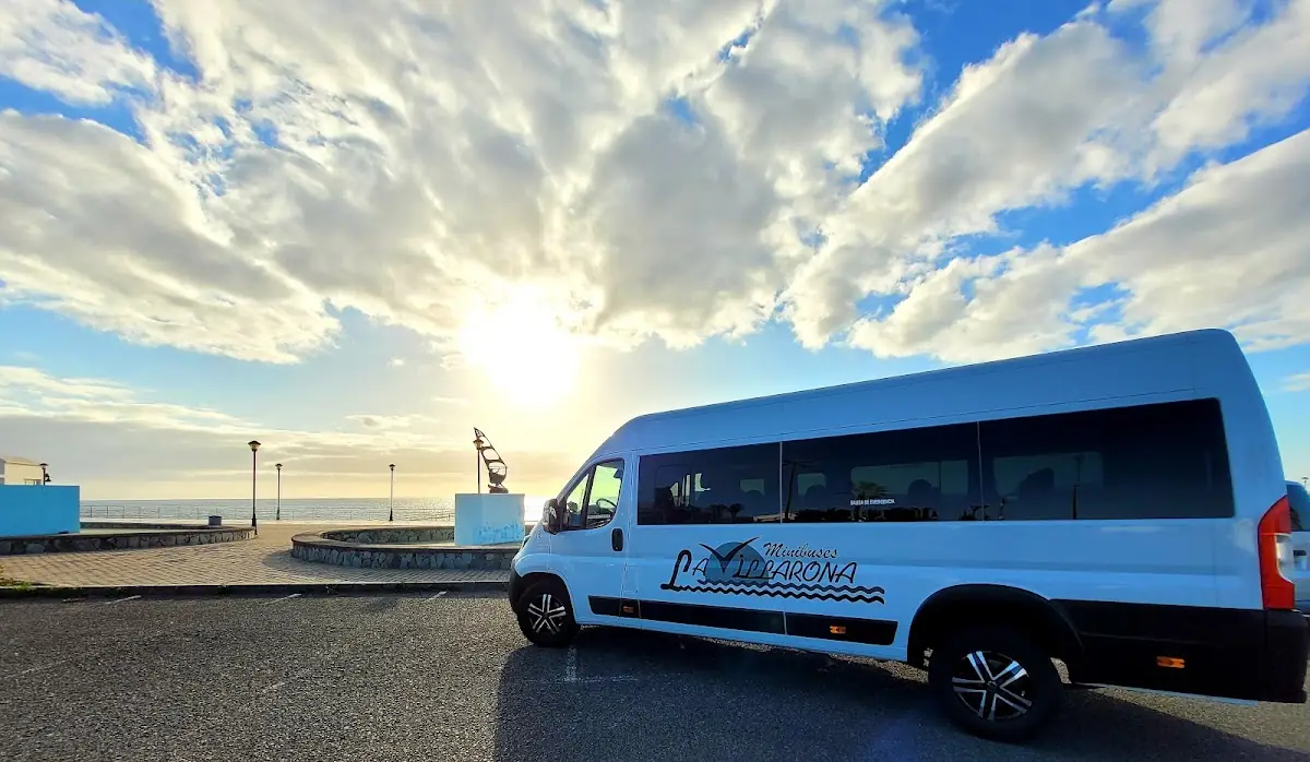 Dimar Bus foto 3