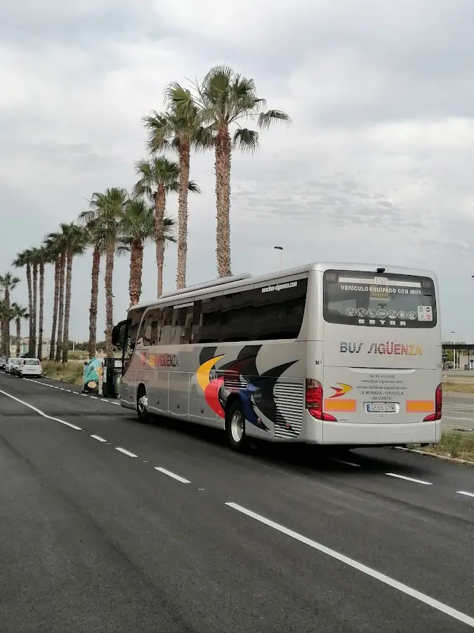 Bus Sigüenza Sl