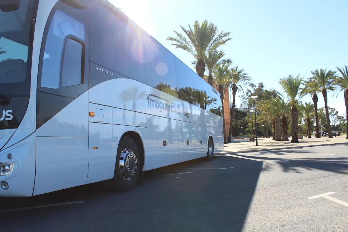 Autobuses Movanbus