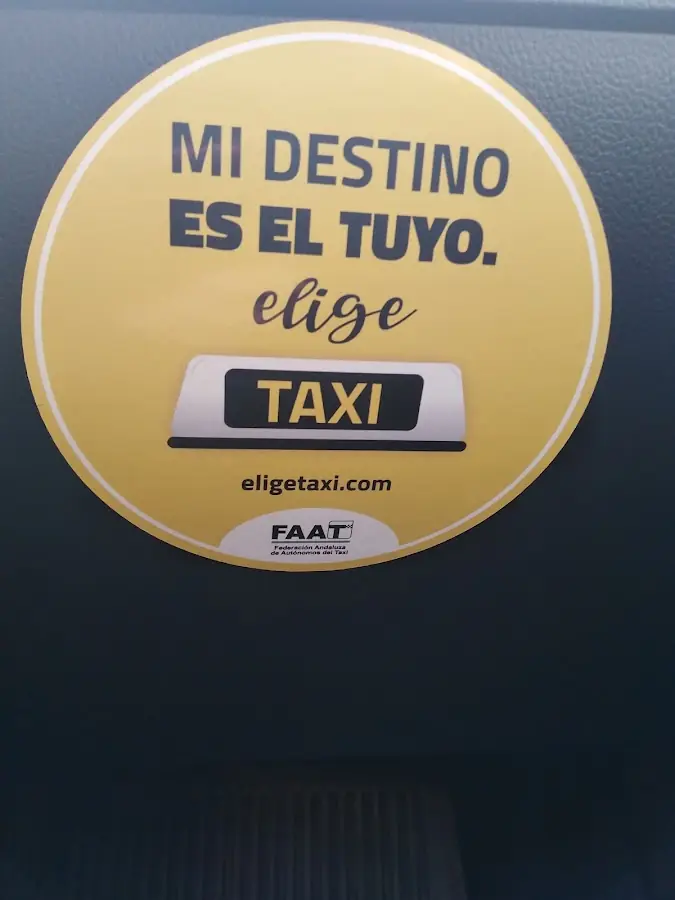 Taxis y Autocares Morante Bus foto 4
